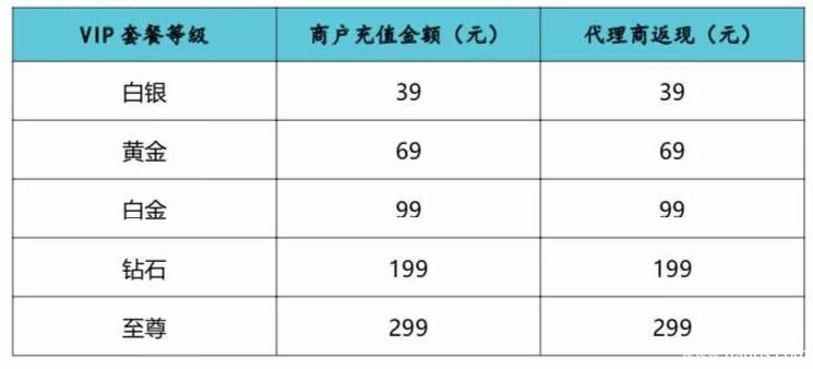 银盛银元通机构营销政策